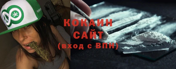 бошки Осинники