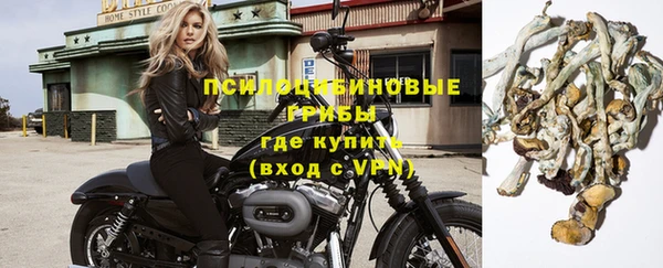 бошки Осинники
