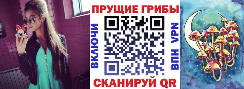 Галлюциногенные грибы GOLDEN TEACHER  Фёдоровский 